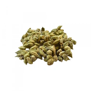 Aktarist Kuru Bamya Çiçek