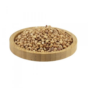 Aktarist Mahlep Tane