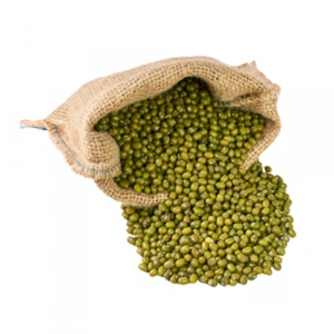 Aktarist Maş Fasulyesi