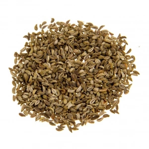 Aktarist Maydanoz Tohumu 2