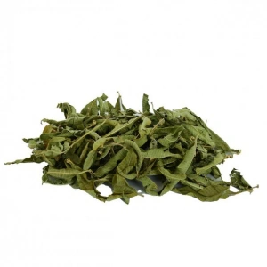 Aktarist Melisa Limonlu - Limon Otu Organik