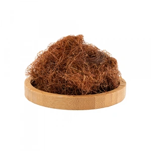 Aktarist Mısır Püskülü