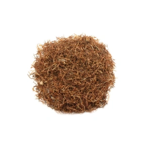 Aktarist Mısır Püskülü Kons