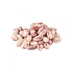 Aktarist Organik Barbunya 10 Mm Lüks