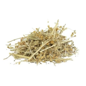 Aktarist Pelin Otu - Acı Pelin