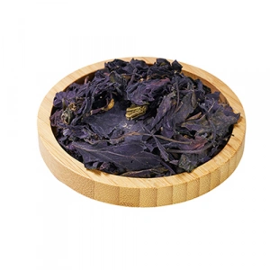 Aktarist Reyhan Yaprağı