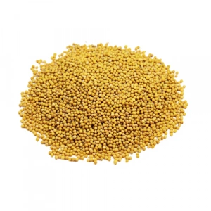 Aktarist Sarı Hardal Tohumu