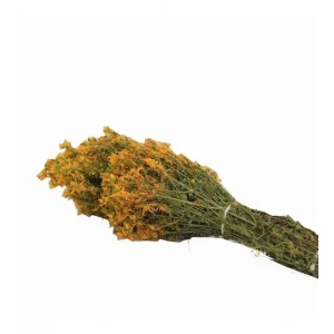 Aktarist Sarı Kantaron Demet