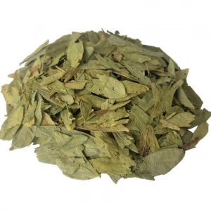 Aktarist Sinameki Yaprağı