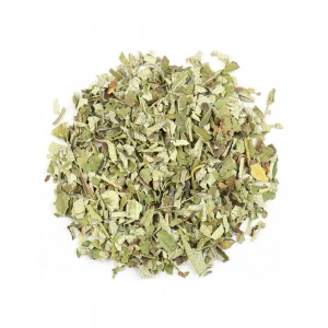 Aktarist Söğüt Yaprağı