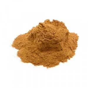 Aktarist Yedibahar Özel