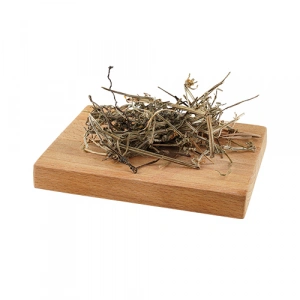 Aktarist Yoğurt Otu - Yapışkan Otu