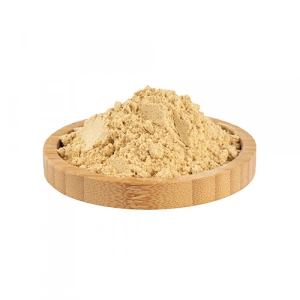 Aktarist Zencefil Öğütülmüş Esmer