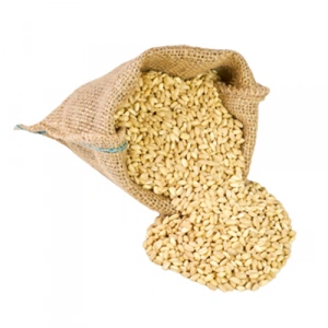 Aybak Kuş Yemlik Buğday 1. Kalite