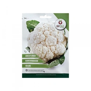 Birtaş Karnabahar Tohumu - İgloo