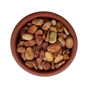 Aktarist Kabuklu Bakla Gönen Orta Boy