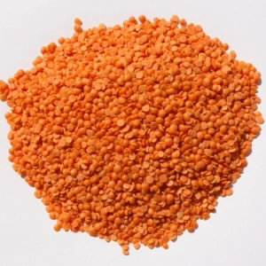 Özsarı Kırmızı Mercimek Yerli (yaprak)