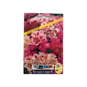 Sveryverts Açelya Tohumu