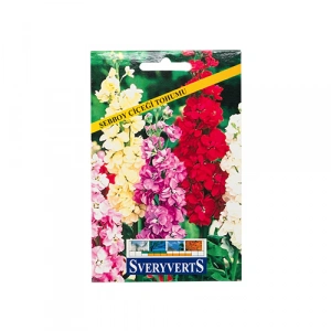 Sveryverts Şebboy(Kokulu) Tohumu