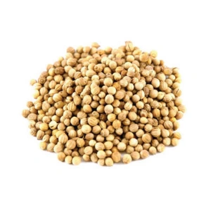 Aktarist Tane Kişniş - İthal