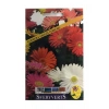 Sveryverts Gerbera Çiçeği Tohumu