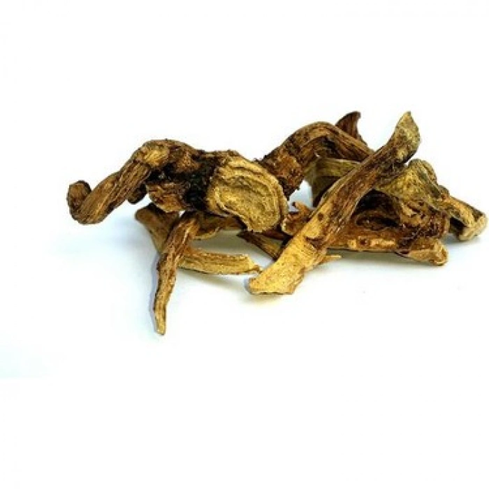 Aktarist Andız Kökü