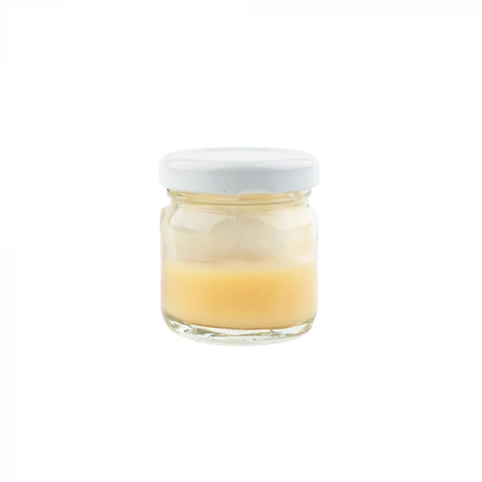 Aktarist Arı Sütü