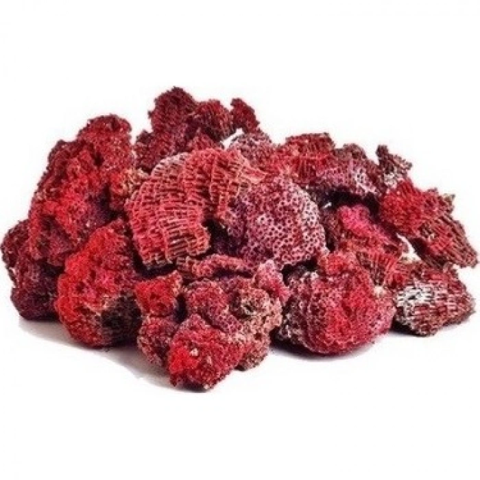 Aktarist Yedi Kardeş Kanı