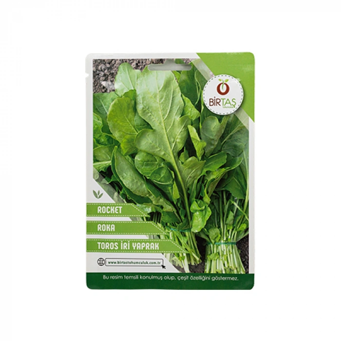 Birtaş Roka - Toros İri Yaprak Tohumu
