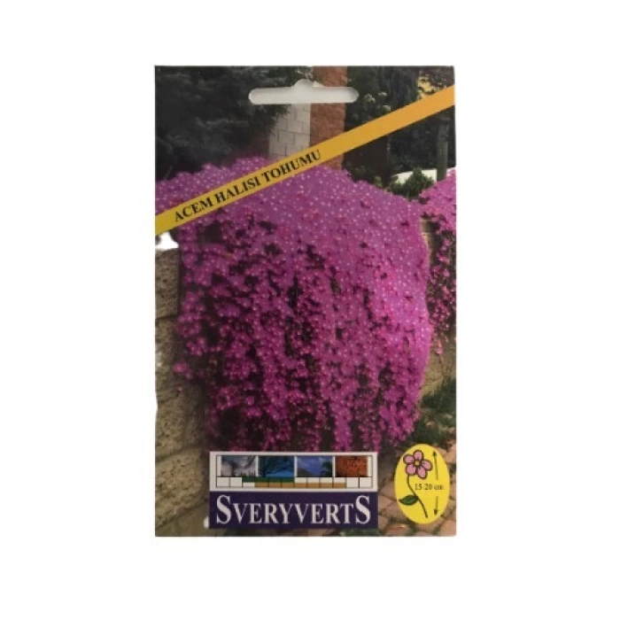 Sveryverts Acem Halısı Tohumu