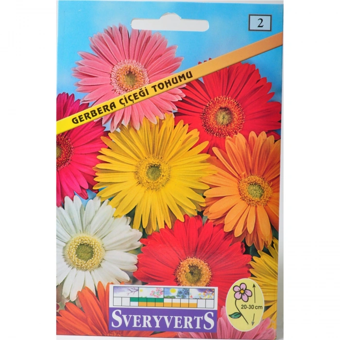 Sveryverts Gerbera Çiçeği Tohumu