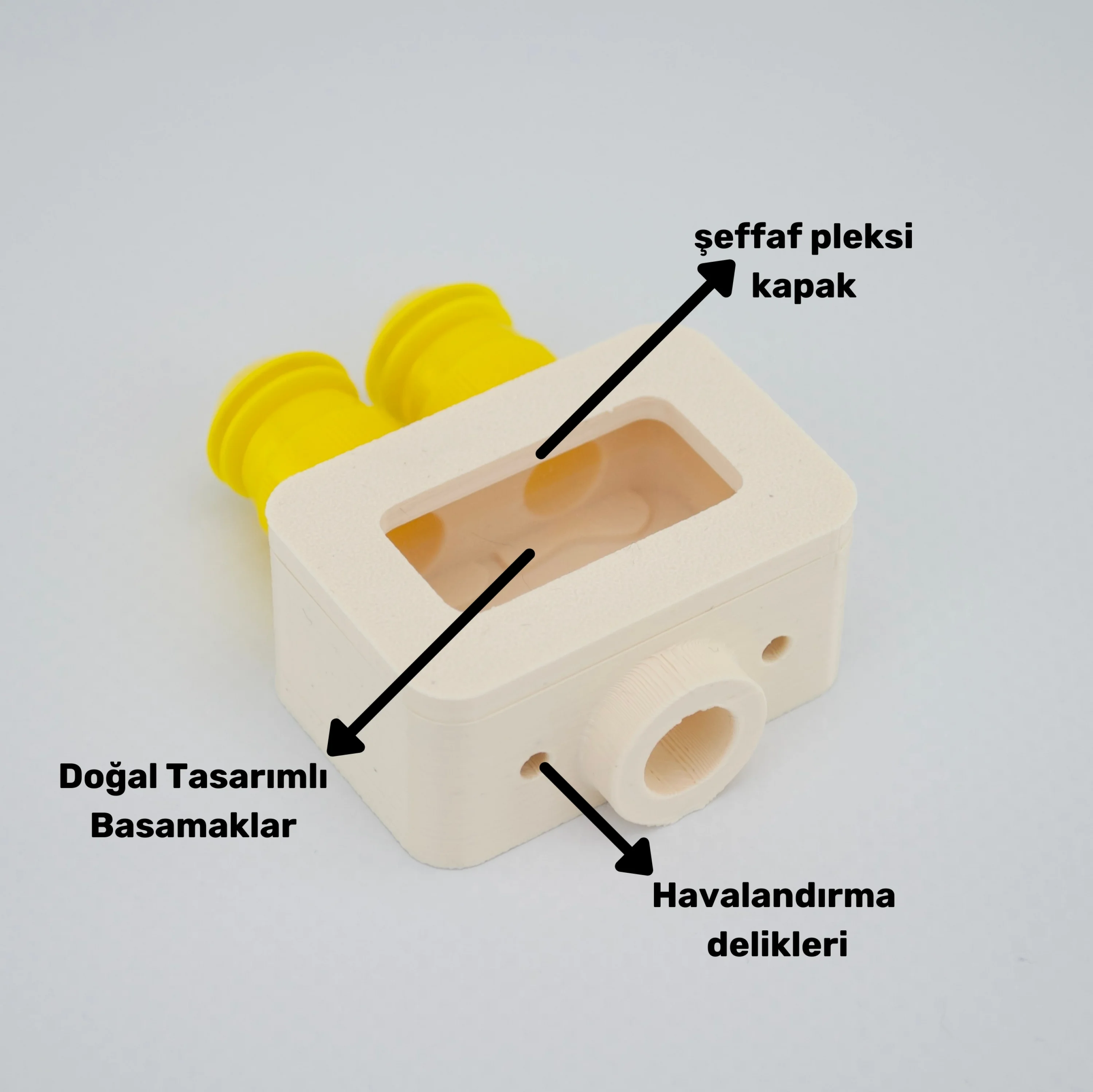 Obsera™ 2’li Çoğaltıcı