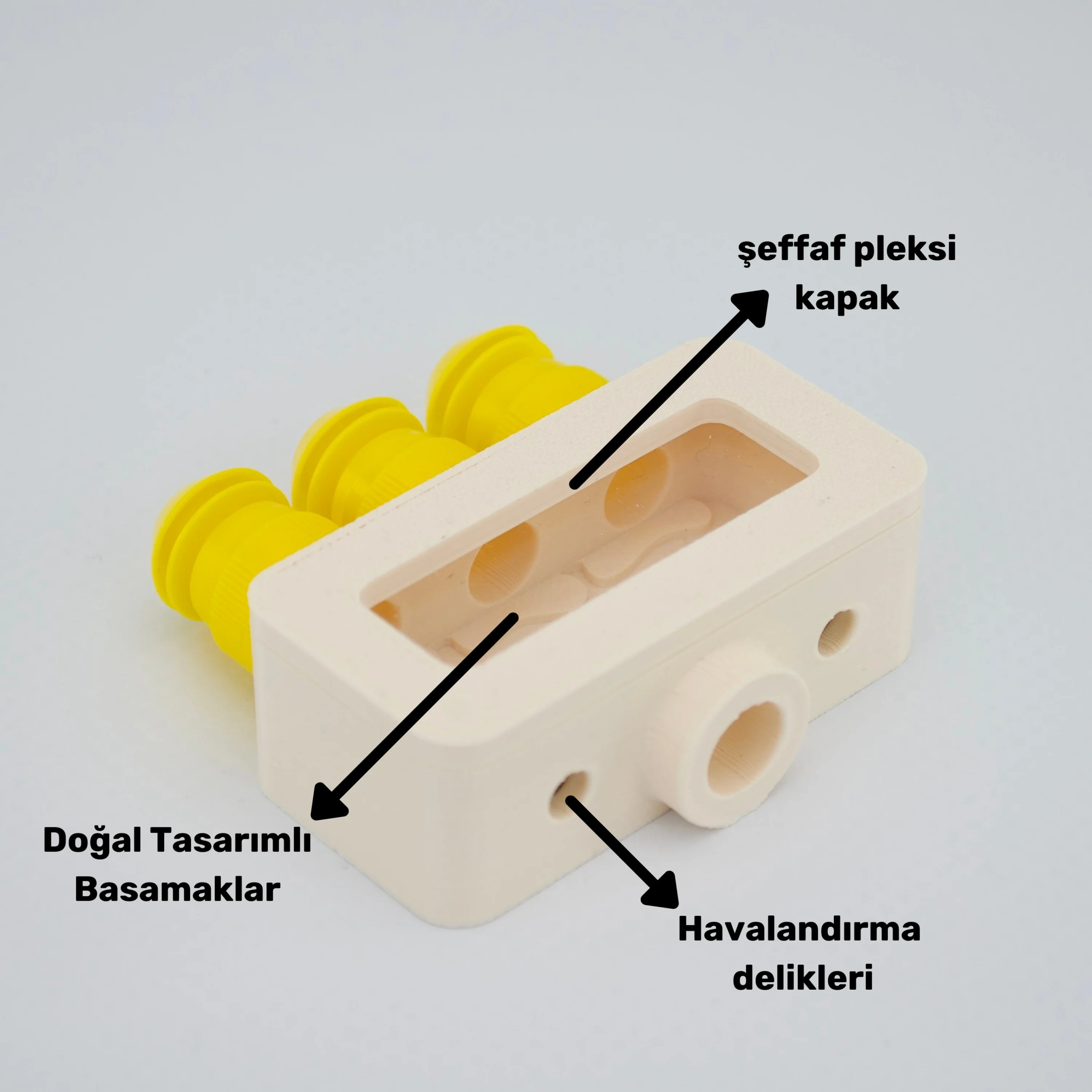 Obsera™ 3’lü Çoğaltıcı