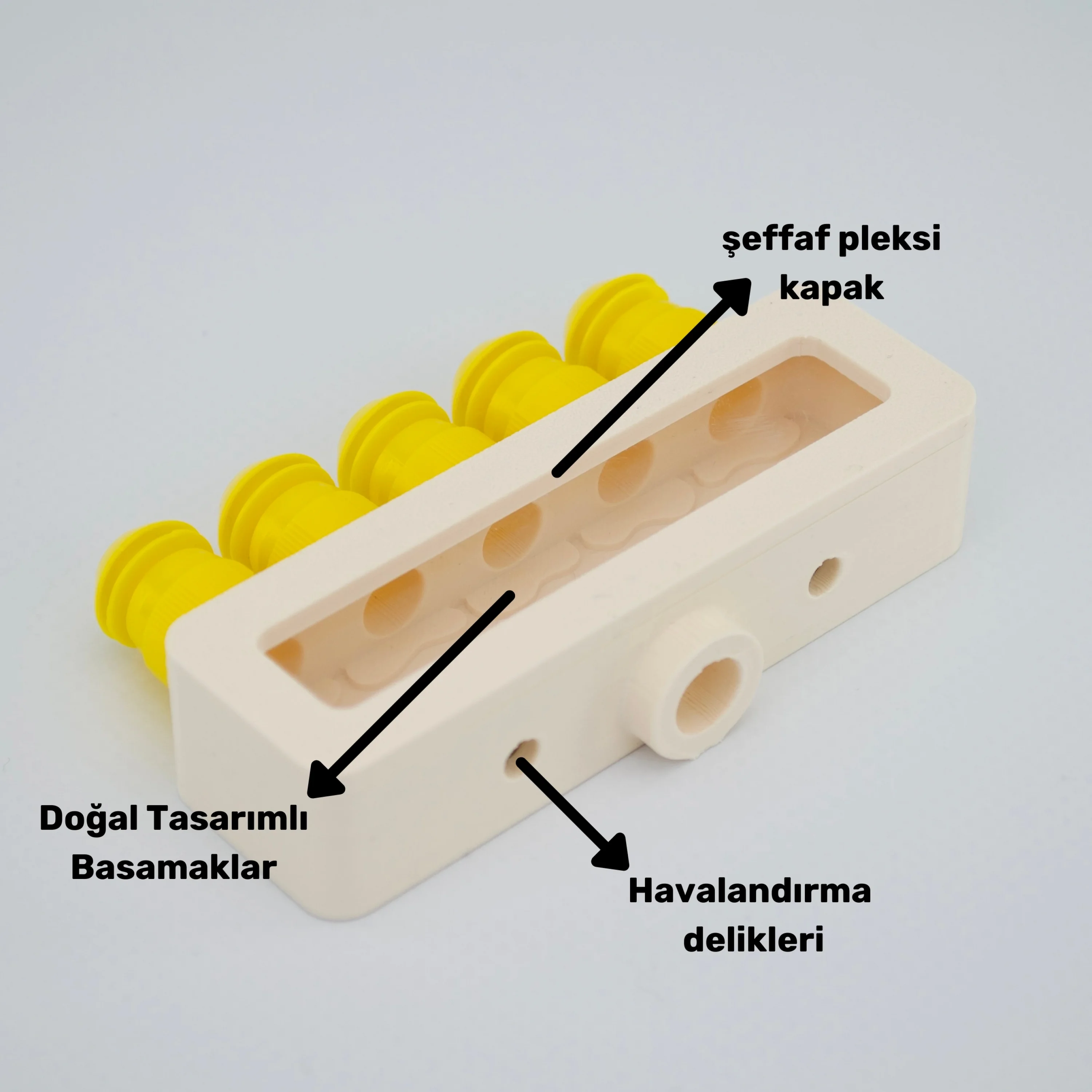 Obsera™ 5’li Çoğaltıcı