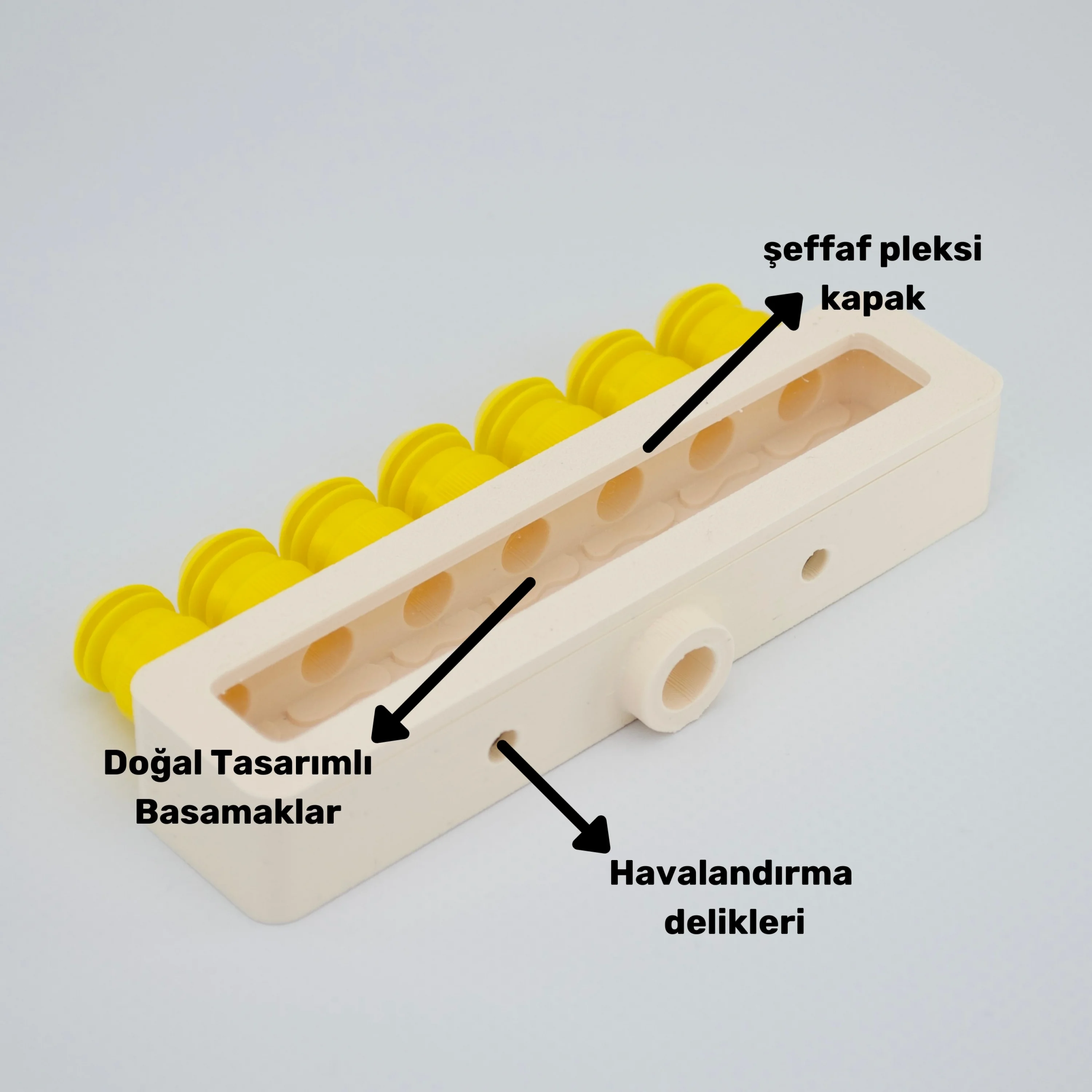 Obsera™ 7’li Çoğaltıcı