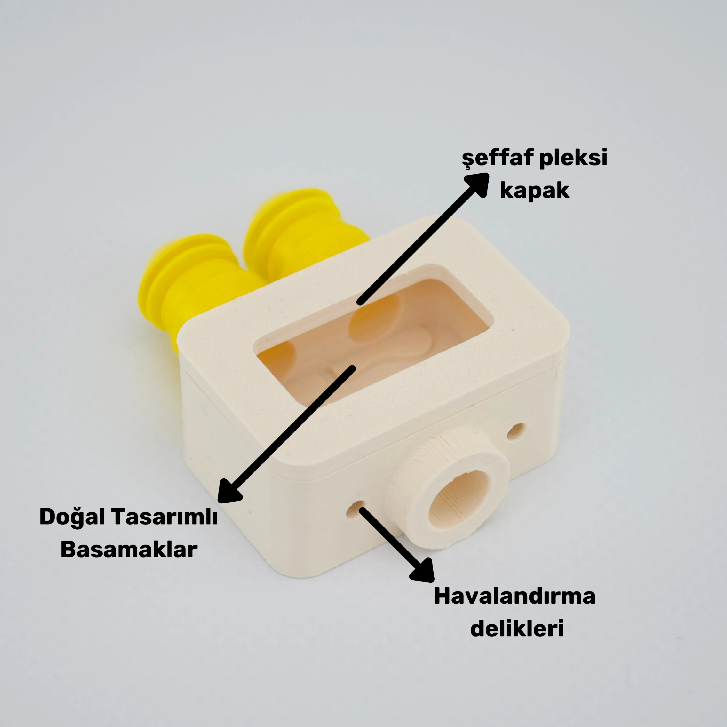 Obsera™ 2’li Çoğaltıcı