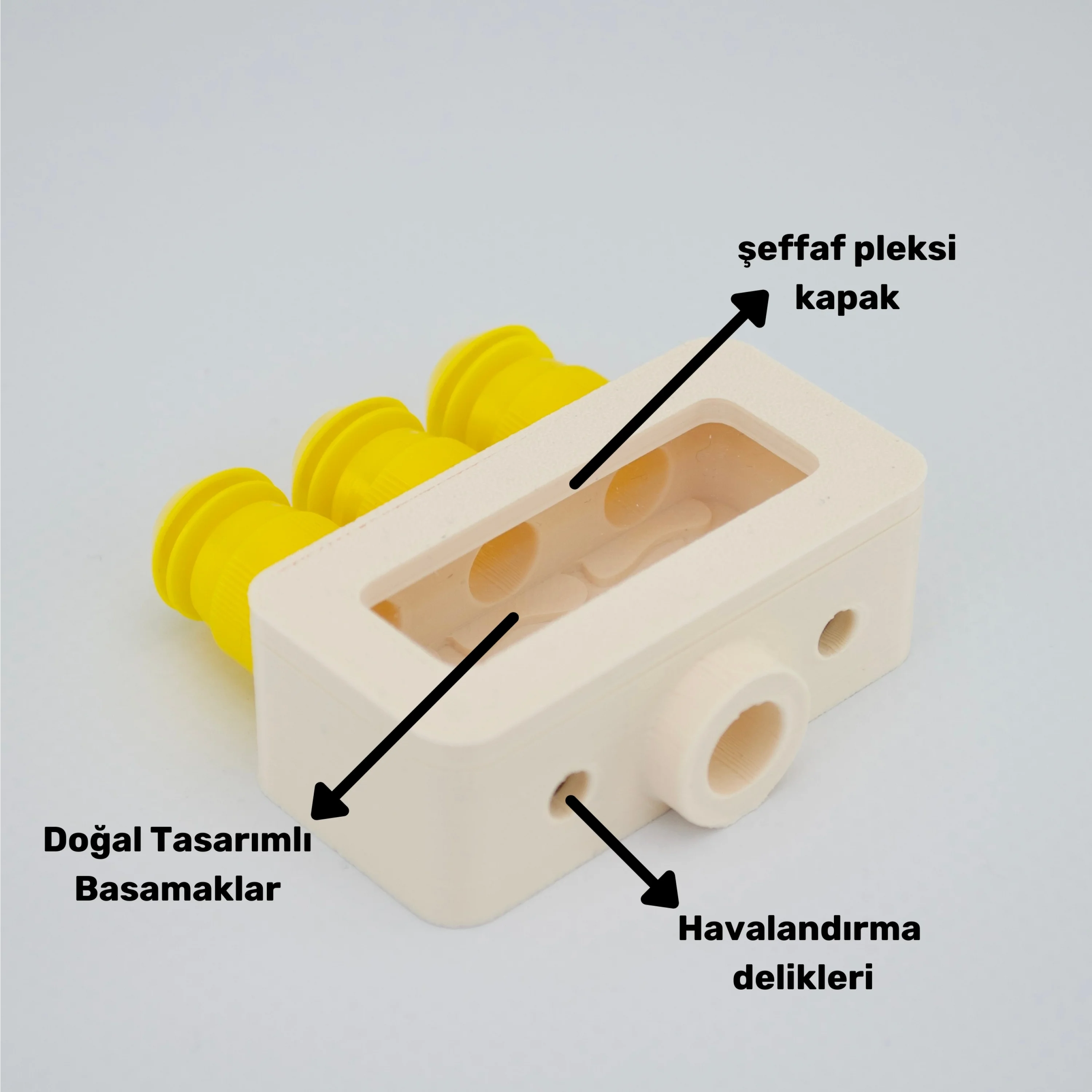 Obsera™ 3’lü Çoğaltıcı