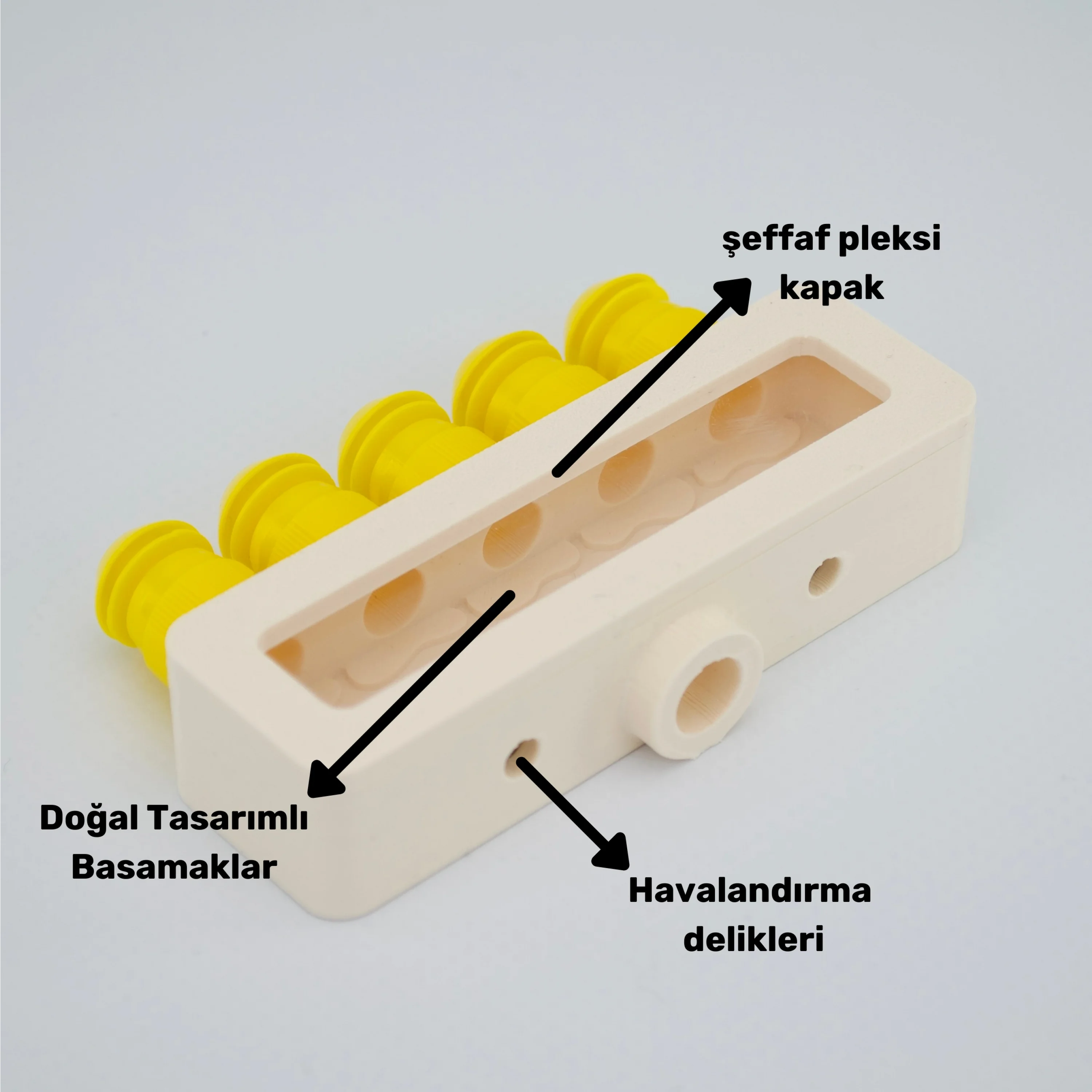 Obsera™ 5’li Çoğaltıcı
