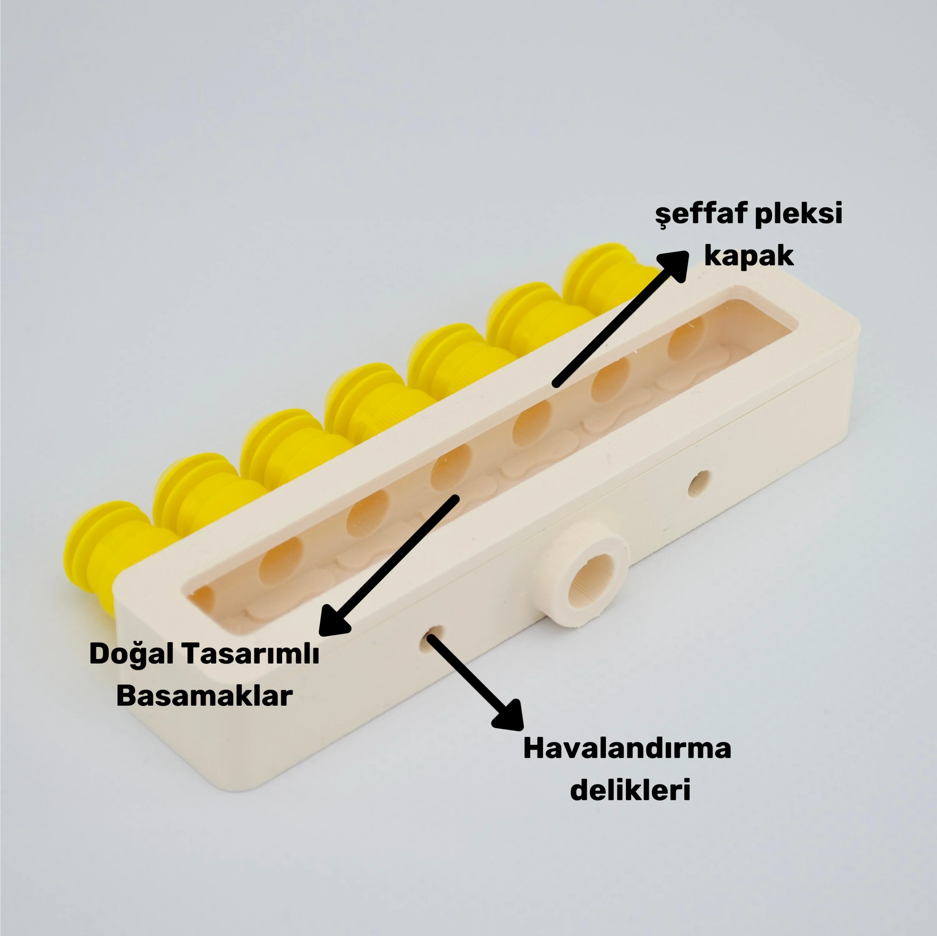 Obsera™ 7’li Çoğaltıcı