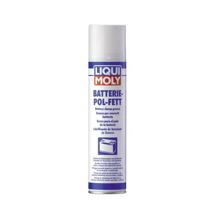 LIQUI MOLY Akü Gres Spreyi 300 ml