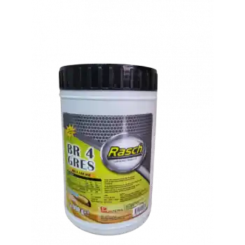 RASCH SARI GRES BR 4 0,9 KG