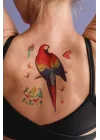 Geçici Papağan Dövme Tattoo