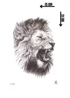 Aslan Geçici Dövme Tattoo