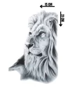 Geçici Aslan Figürlü Dövme Tattoo