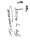 Geçici Atatürk İmza Dövme Tattoo