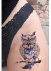 Gerçekçi Geçici Baykuş Dövme Tattoo