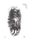 Kurt Geçici Dövme Tattoo