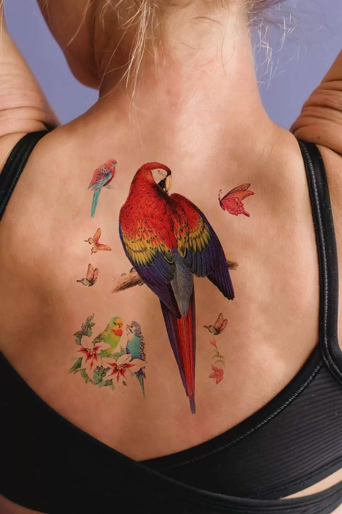 Geçici Papağan Dövme Tattoo