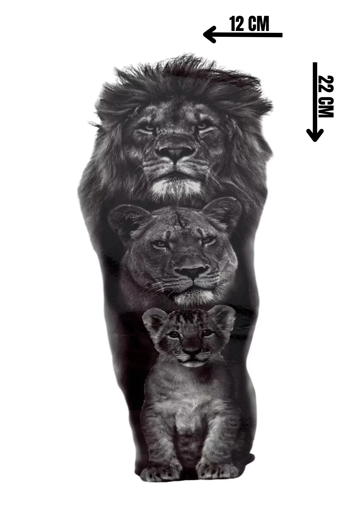 Geçici Aslan Figürlü Dövme Tattoo