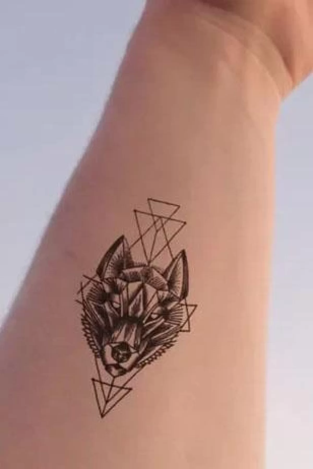 Geçici Kurt Mini Dövme Tattoo